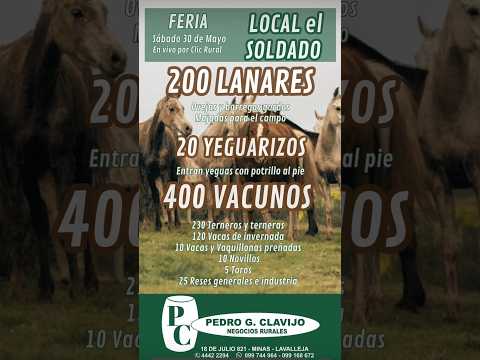 30/5/2026 Local el Soldado - Lavalleja - Pedro G. Clavijo I Clic Rural