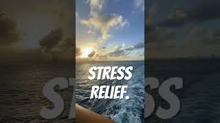 This view melts the stress away. #msccruises #mscworldamerica #cruiselife #stressrelief #sunset