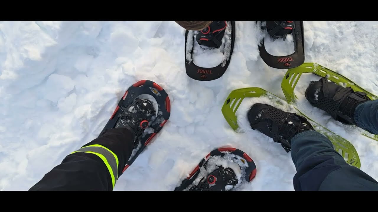 Hold ut - Operaen Hylekoret