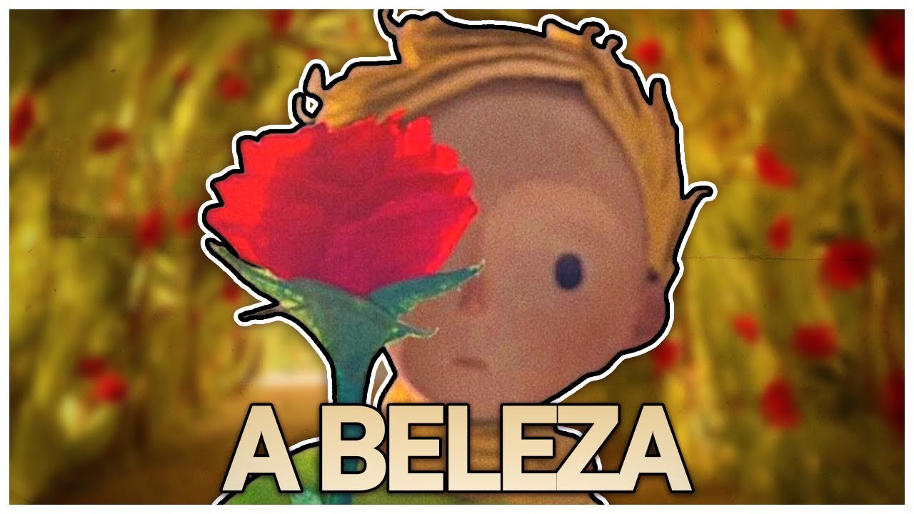 AS LIÇÕES DE "O Pequeno Principe"