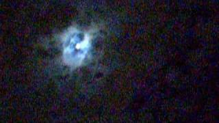 Elysian Fields - When