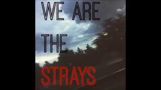 The Strays by Sleeping With Sirens (lyrics)
