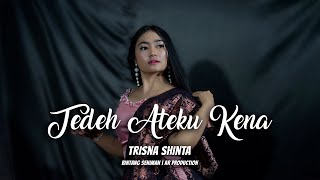 Download lagu LAGU KARO TERBARU 2019 - TEDEH ATEKU KENA (T.A.K) - TRISNA SHINTA  ( VIDEO) mp3