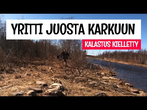 SALAKALASTAJA POHJAPADOLLA - JÄI KIINNI JA YRITTI JUOSTA PAKOON - NUPANVÄYLÄ - OULUNKALAPAIKAT