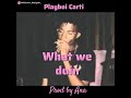 Playboi Carti What We Doin Remix Prod By Ana