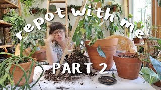 REPOT Q&A PART 2 | more custom soil blends, plant care with a baby?