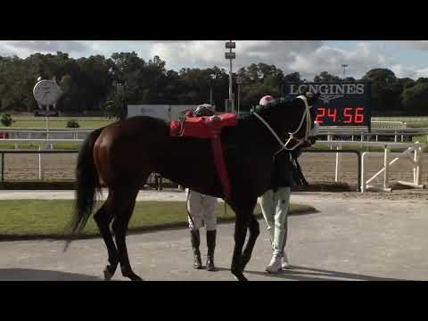 220529 c02 A Mattos/ SUPREMA D´OR