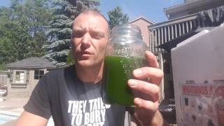 Download lagu Why Frozen Wheatgrass: How it Comes, How easy it is to use :) mp3 Download lagu Why Frozen Wheatgrass: How it Comes, How easy it is to use :) mp3