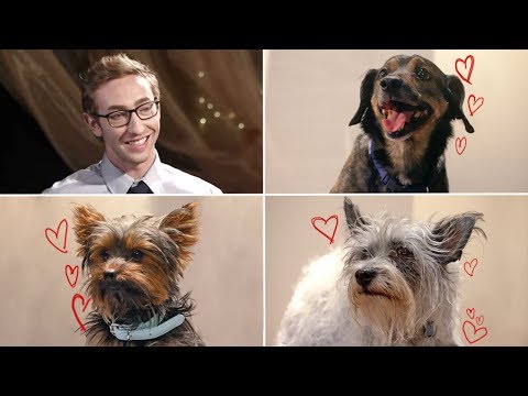 download lagu mp3 mp4 Win Dog Stuff, download lagu Win Dog Stuff gratis, unduh video klip Win Dog Stuff