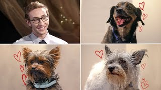 Which of These Dogs Will Win a Date For Their Owner?