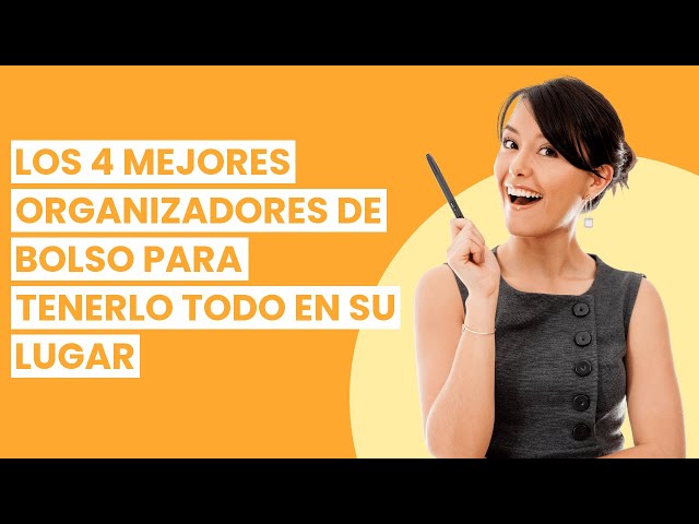 Vídeo relacionado con Lckaey Organizador de bolso para chanel 22 bolsas organizador inserto de reedición bolso con bolsillo lateral con cremallera 2001negro- S