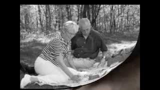 Algo estranho acontece -  António Zambujo