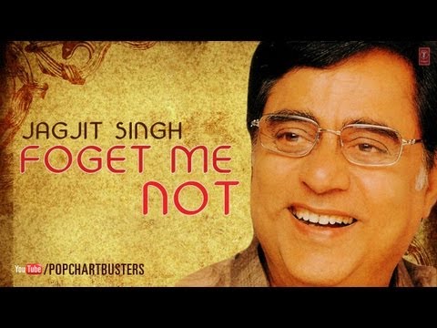 Tum Hamare Nahin To Kya Gham Hai  Full (Audio) Song Forget Me Not Jagjit Singh Hit Ghazals