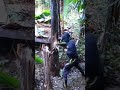Outstanding Powerful Punching Skills by a Man Breaking the Wooden Tree - Amazing Punching Power