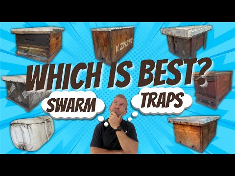 The best type of trap box or bee hive to attract swarms