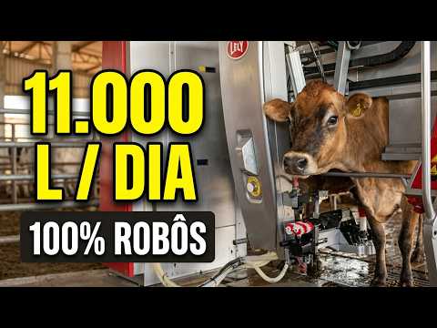 Da engenharia à pecuária: o projeto que virou uma fazenda de leite