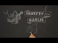 How to Benefit from Garlic