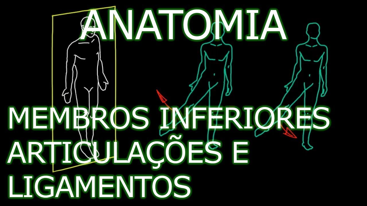 Aula: Anatomia - Membros Inferiores - Articulações e Ligamentos | Anatomia Humana Osteomuscular