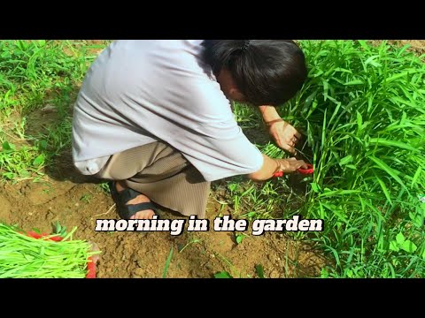 Harvest vegetables and fruits in the small garden and have family meals