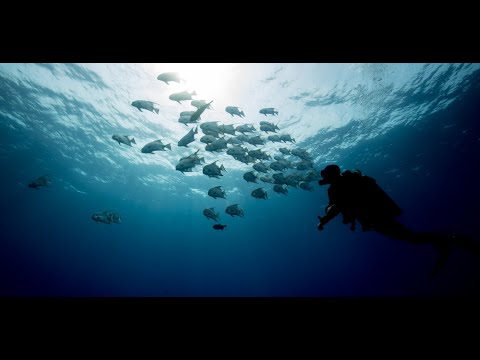 Welcome to Utila - Diving with Utila Dive Center