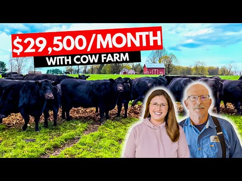 How to Start $350K/Year Cow Farm Business