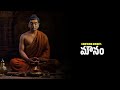 Top 20 Buddha Inspirational Life Quotes In Telugu JIVITA SATHYALU