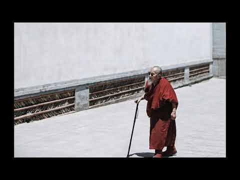 ŁysolMAN vs Laska - 3mam dystans2 #MNISI SZALOLIN