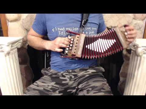 DINOART20G - Walnut Dino Baffetti Art. 20 Organetto Binci GC M 10 2 $799