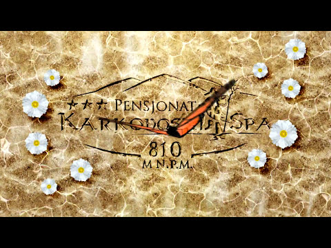 SPA w pensjonacie*** Karkonoski