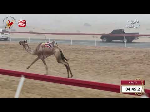   ش 2 (طرفه) لـ أحمد سالم سيف الجابري 9:49 , شارة الديوان 3 2026/10/07 ثنايا اللبسه    
