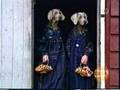 Sesame Street Wegman Dogs Demonstrate 2