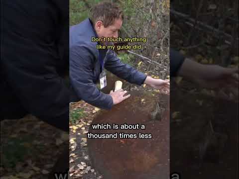 A day in the most radioactive town does this to your body (Chernobyl Ukraine) ☢️