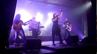 Fine Art of Havoc Music Video