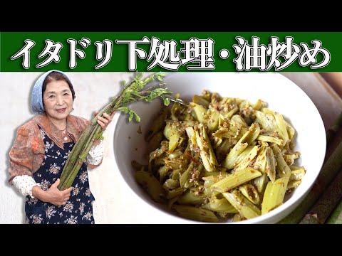 ビトルタ・オフィシナリス