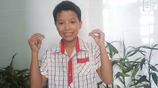 #95. Different kinds of garden