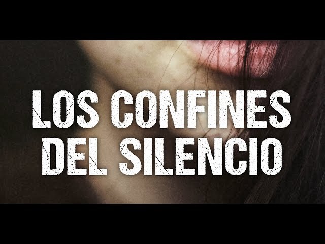 Vídeo relacionado con Después del silencio (Novela)