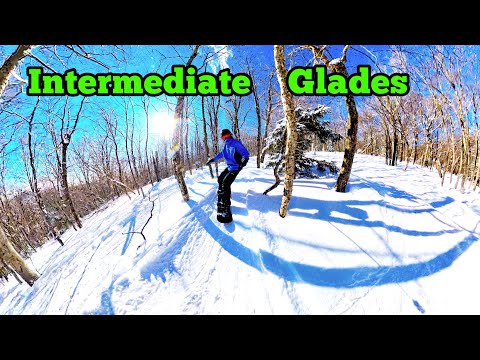 Discover the BEST Glade Trails for Skiing & Snowboarding on the East Coast