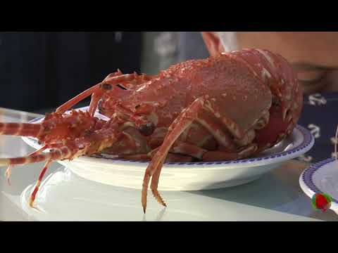 Restaurante El Cristo reabriu ao público