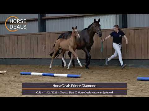 HorseDeals Prince Diamond