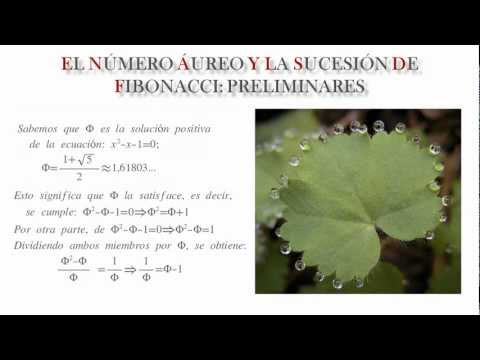 Ángulo de Oro y Filotaxia