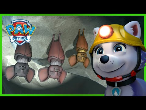 I cuccioli salvano la famigla di pipistrelli - PAW Patrol I cuccioli Episodi Italiano - Pup Tales