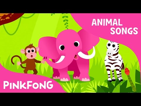 138 Wild animals English ESL video lessons