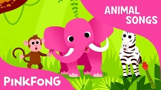 Animals, Animals | Animal Songs | PINKFONG Songs for Children