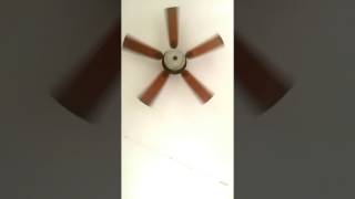 Brody Wilson - Poolside (Everything Goes)