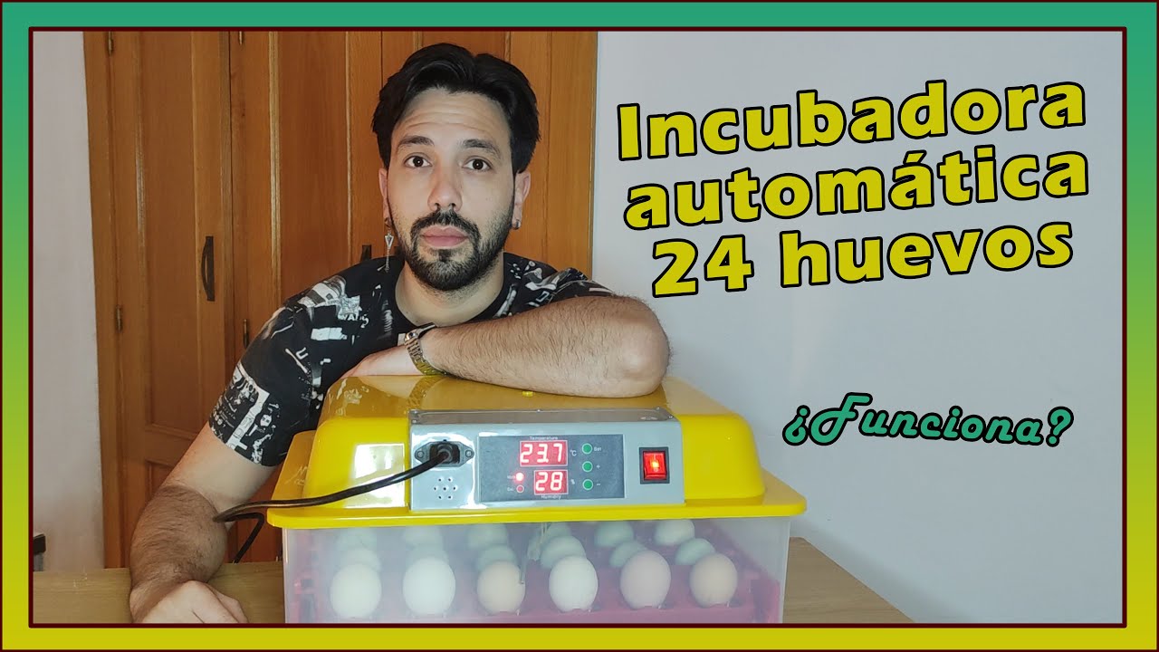 Watch ⚙️ Como FUNCIONA y RESULTADOS de la incubadora automática de 24 huevos Now ⚙️ Como FUNCIONA y RESULTADOS de la incubadora automática de 24 huevos