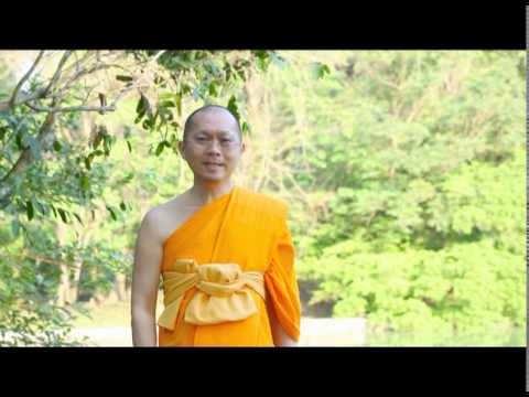 หนูแฮมสเตอร์รักษากลาก โรคสะเก็ดเงินในมนุษย์