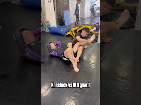 Kneelock VS DLR guard デラヒーバガードに対するニーロック(膝十字) #bjj #jiujitsu #ブラジリアン柔術 #キッズ柔術 #格闘技 #柔術初心者