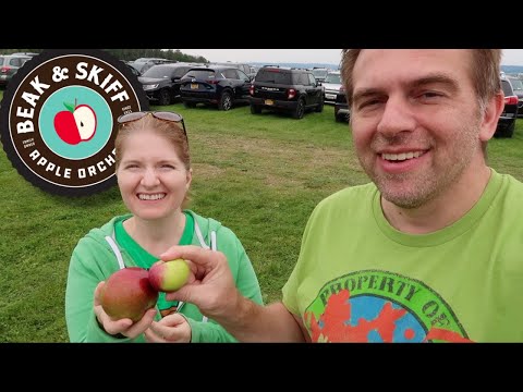Apple picking at the famous Beak and Skiff in LaFayette, NY