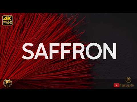 Saffron Explained: Why This Tiny Spice Became the Most Expensive Ingredient on Earth