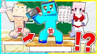 問題児だらけの学校に入学した結果!?!?!?【まいくら / マインクラフト】